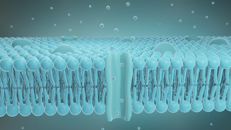 تطوير "صمغ خلوي" لتجديد الأنسجة وشفاء الجروح وإعادة تنمية الأعصاب