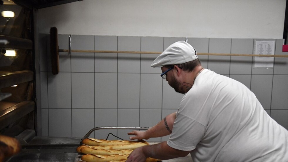 تحذير من فطر قاتل يختبئ في الخبز