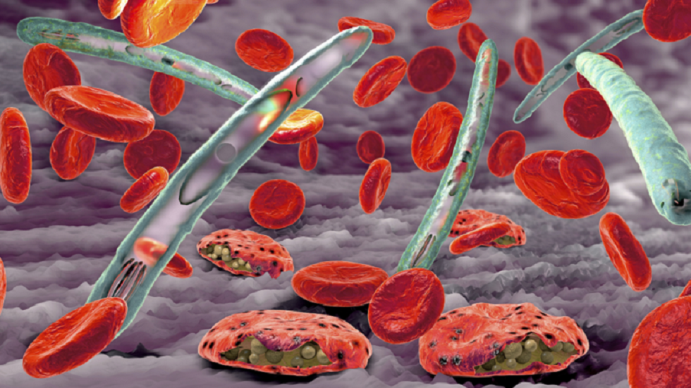 ازدياد معدلات الإصابة بالملاريا في السودان