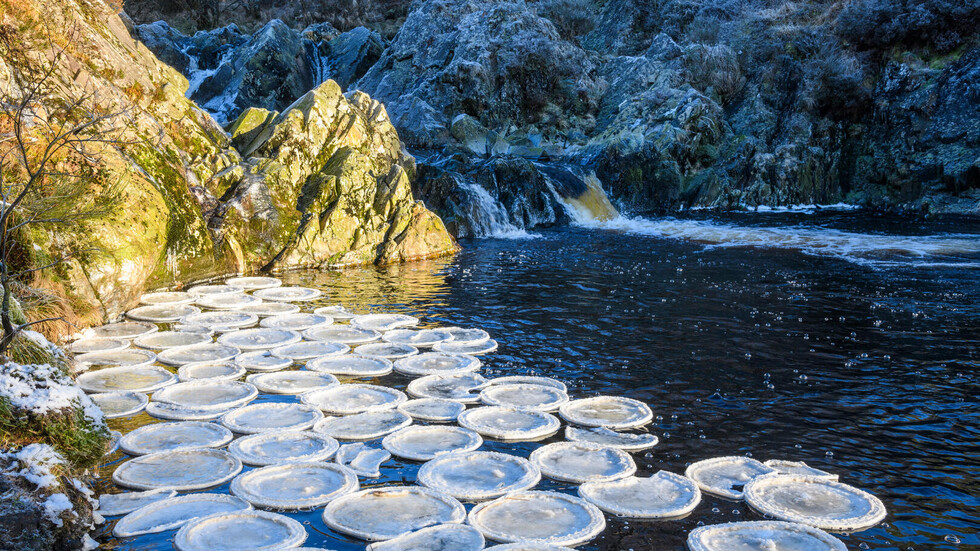 ظاهرة نادرة ..