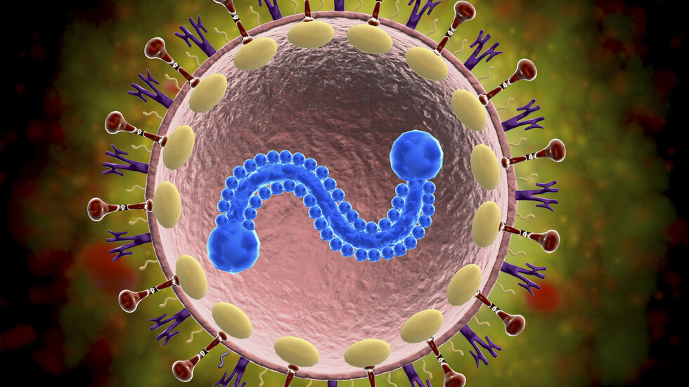 الأعراض وكيفية الانتشار والعلاج.. ما هو فيروس الجهاز التنفسي المخلوي؟
