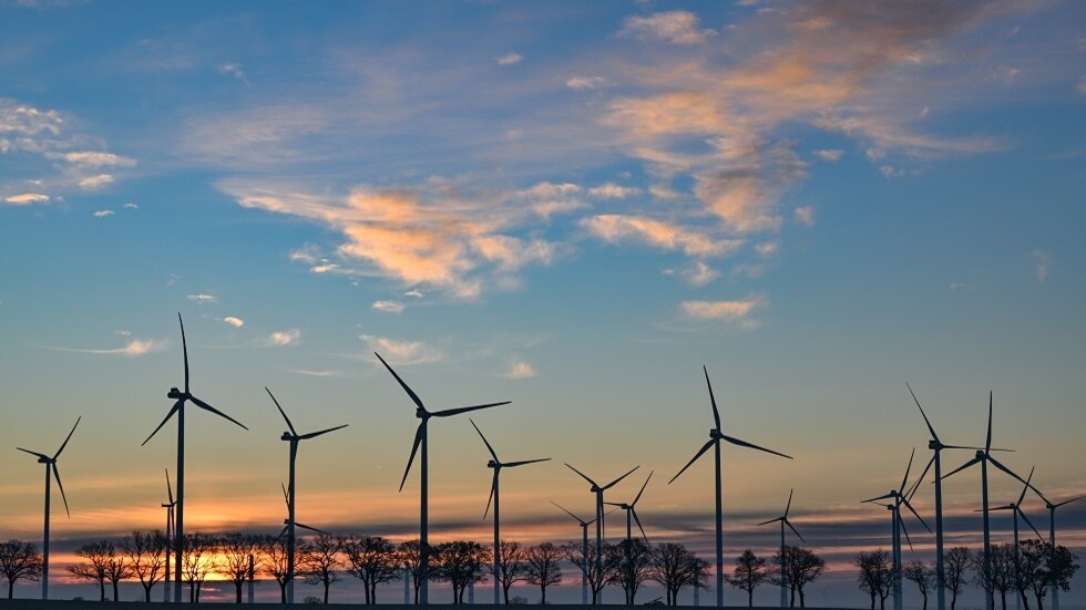 نوفاك: العالم غيّر موقفه تجاه "الأجندة الخضراء"