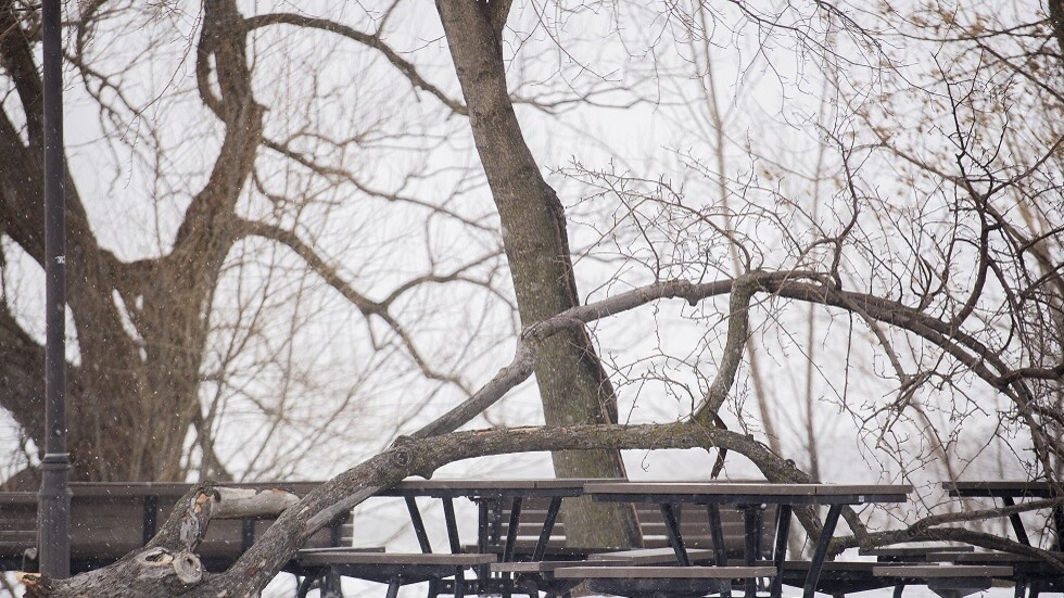 ارتفاع كبير في عدد قتلى أسوأ عاصفة ثلجية تضرب الولايات المتحدة