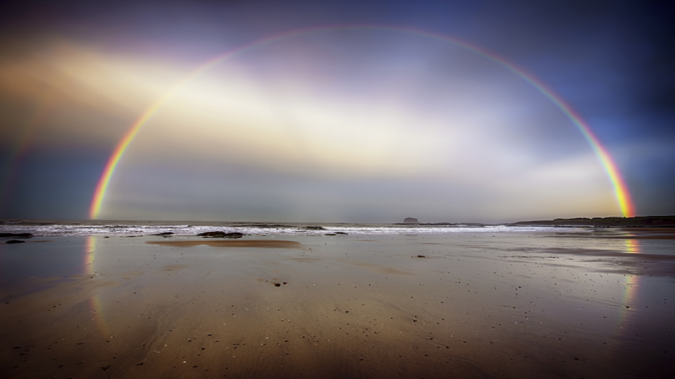 لماذا كل ألوان قوس قزح لا تشمل الأسود والبني والرمادي؟!