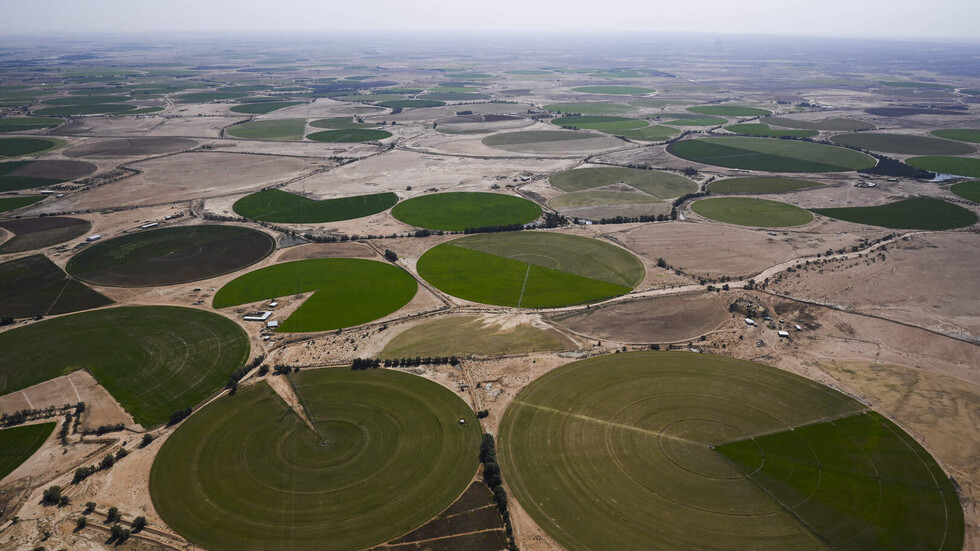 زراعة 623 ألف شجرة وشجيرة و54 حديقة ضمن برنامج "رياض الخضراء"