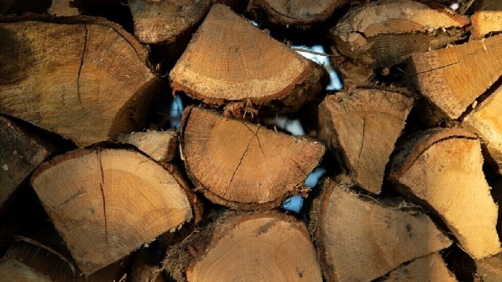 فرنسا.. تسليم وصولات لشراء الحطب للتدفئة