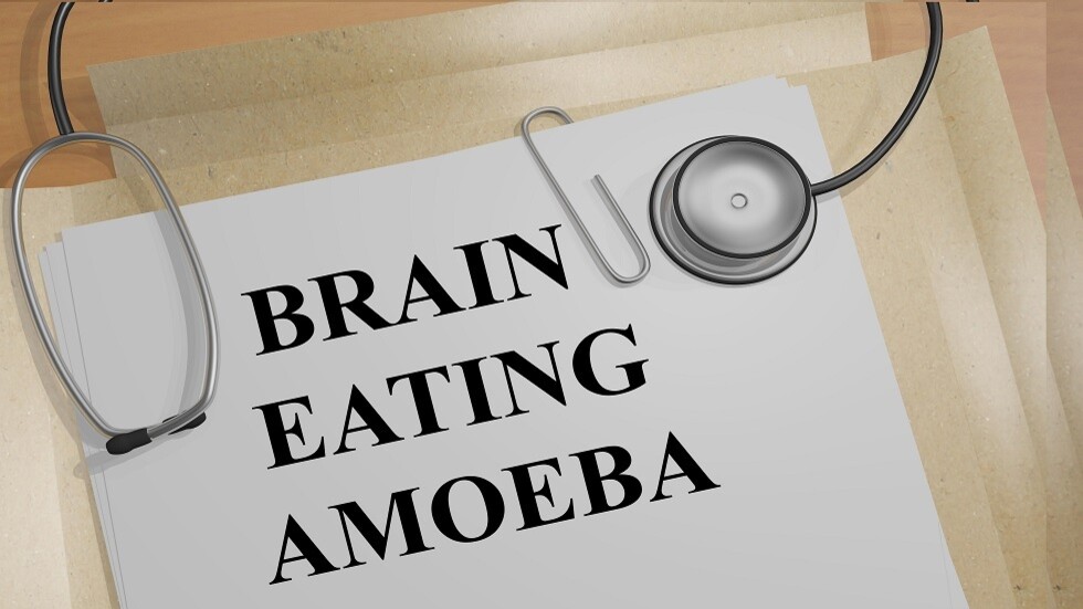 أخصائي أمراض معدية: معظم الإصابات بعدوى "الأميبا آكلة الدماغ" سُجلت في الولايات المتحدة