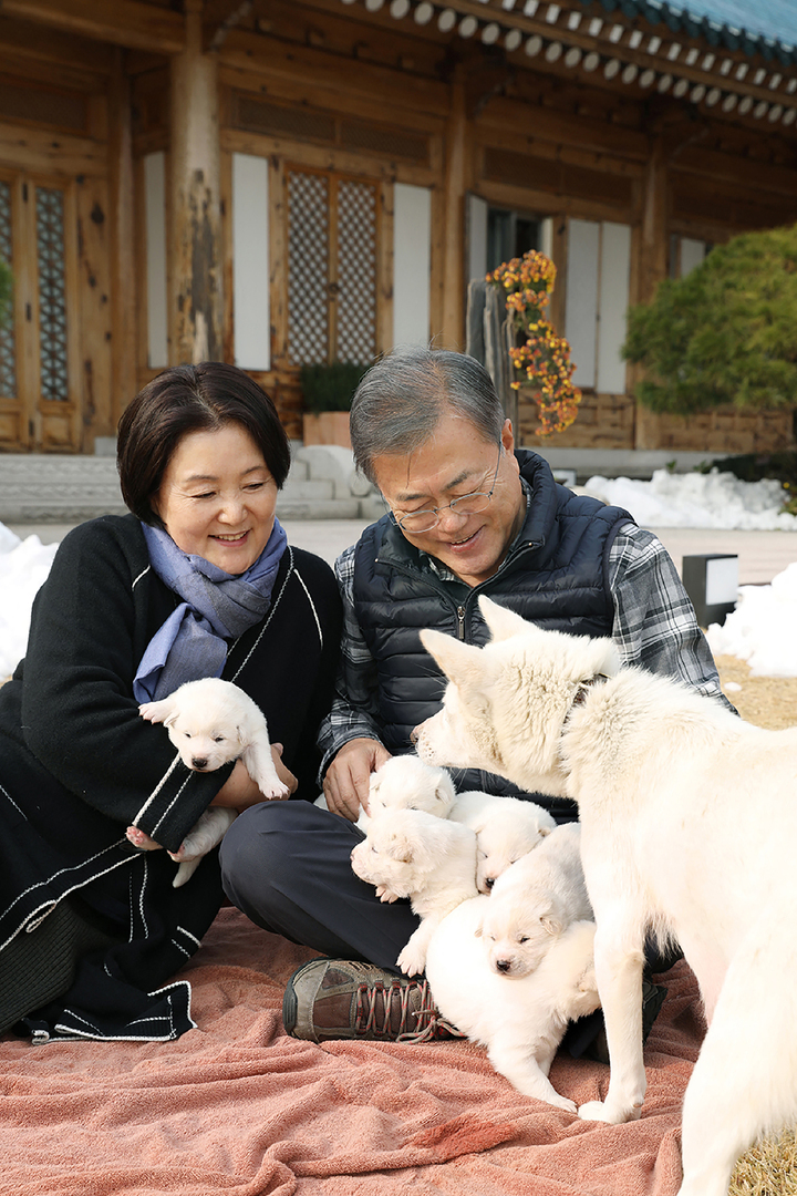 قدمهما الزعيم الكوري الشمالي كهدية.. كلبا رئيس كوريا الجنوبية السابق يجدان منزلا جديدا