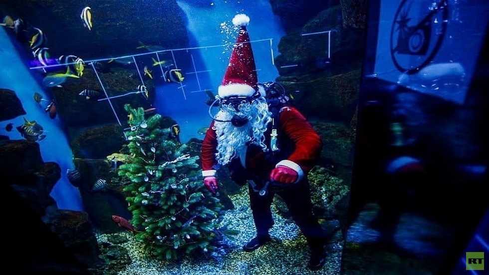 في مشهد طريف.. بابا نويل يطعم أسماك القرش (صور + فيديو)