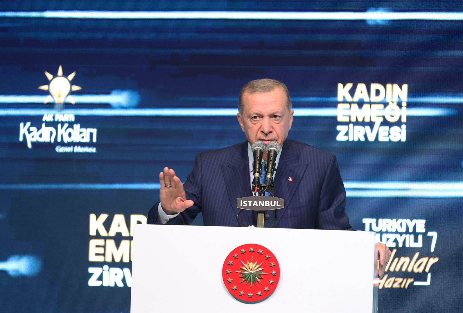 أردوغان يتحدث عن النمو الذي سيحققه الاقتصاد التركي