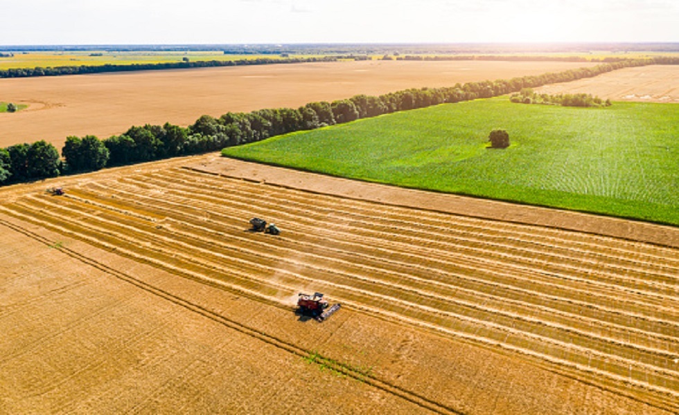 تراجع حصاد أوكرانيا من الحبوب بنحو 40 بالمئة في 2022
