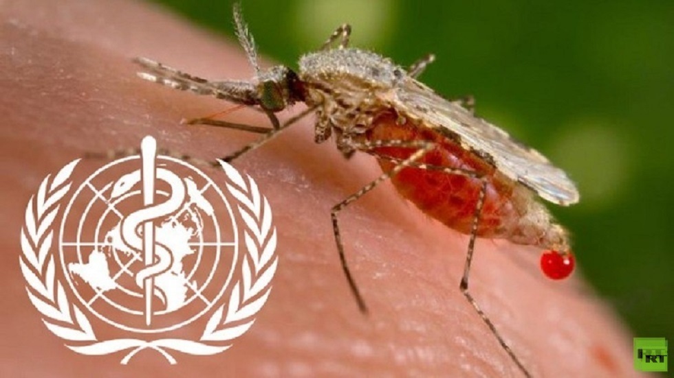 كوريا الجنوبية.. ارتفاع عدد الإصابات بالملاريا إلى 416
