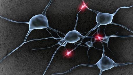 علماء روس يكتشفون وسيلة لاستعادة الأنسجة العصبية