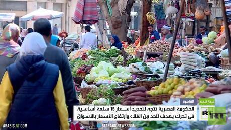 الحكومة المصرية تتجه لتحديد أسعار 15 سلعة أساسية