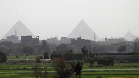 استدعاء عاجل لوزير التموين بسبب أشهر محصول في مصر