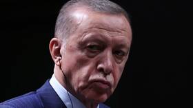 أردوغان يتفق مع اقتراح بوتين بالتركيز على إمدادات الحبوب لإفريقيا