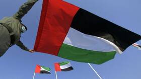 من بينها الانتقال السلس والمنظم للسلطة.. أنور قرقاش يستعرض أهم إنجازات الإمارات خلال العام 2022