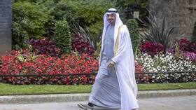 محمد بن زايد يغرّد مهنئا بلاده والعالم بقدوم العام الجديد