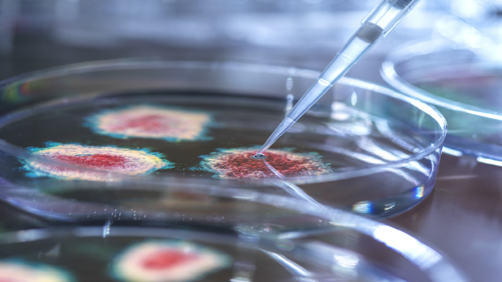 لأول مرة في العالم.. العثور على كائن حي يتغذى على الفيروسات!