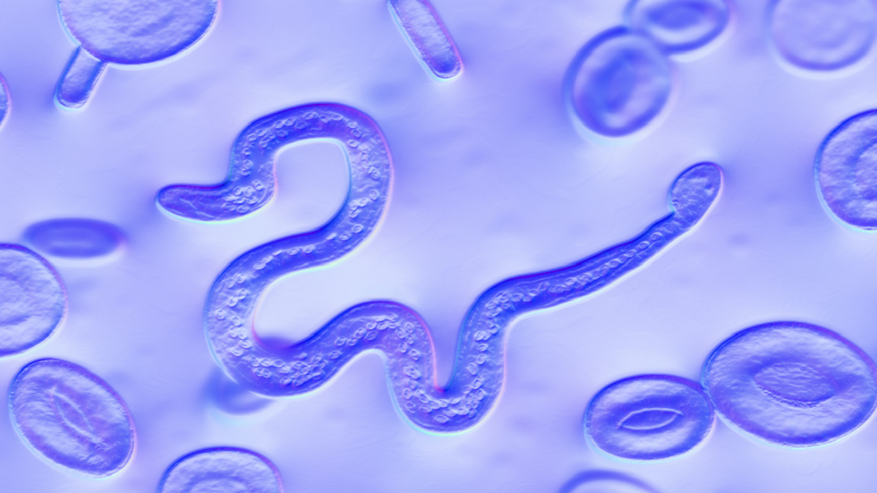 دراسة  تحذر من انخفاض أعداد الطفيليات البحرية