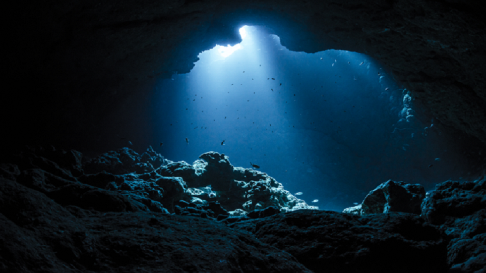 طفلة تعثر على ناب "ميغالودون" وحش المحيطات المنقرض (صور + فيديو)