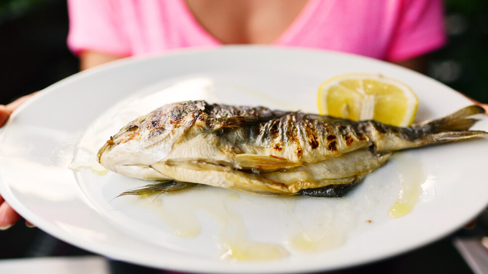 دراسة تحذر من أسماك يمكن أن 