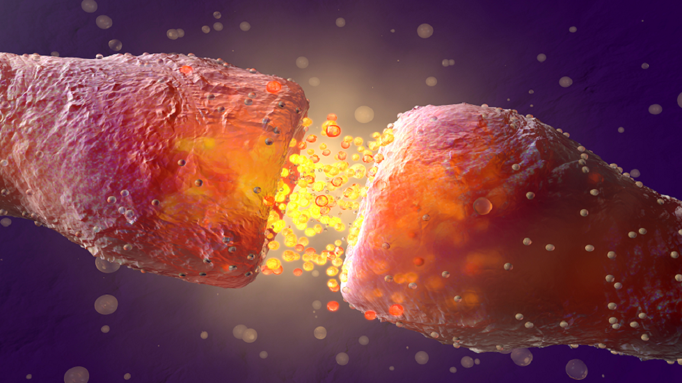 5 آثار للأسلاف القدماء لا تزال موجودة في أجسام البشر حتى يومنا هذا!