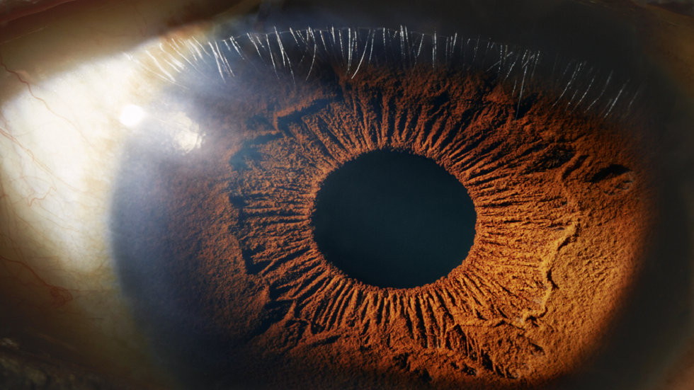 أطعمة "مفيدة" يمكنها تحسين صحة العين و"درء" الالتهابات 