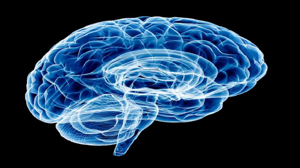 "منطقة غامضة" داخل الدماغ تكشف عن مفاجأة!