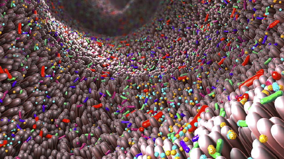علماء: الميكروبيوم البشري قد يكون معديا!