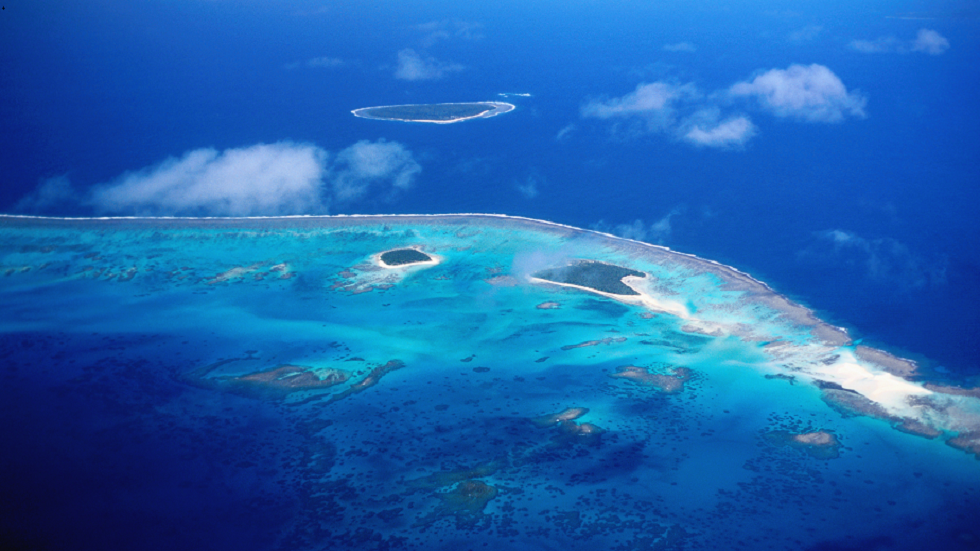 جزيرة ظهرت من العدم بأشكال حياة لم يسبق رؤيتها من قبل!