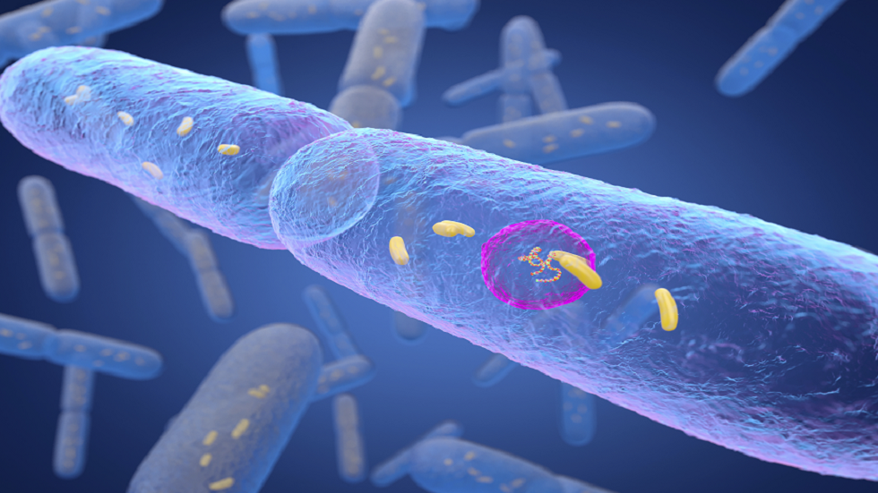 درجات الحرارة في أجسامنا تنخفض منذ 160 عاما.. دراسة تكشف عن سبب محتمل لذلك!