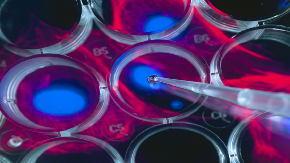 العلماء يبتكرون خلايا 