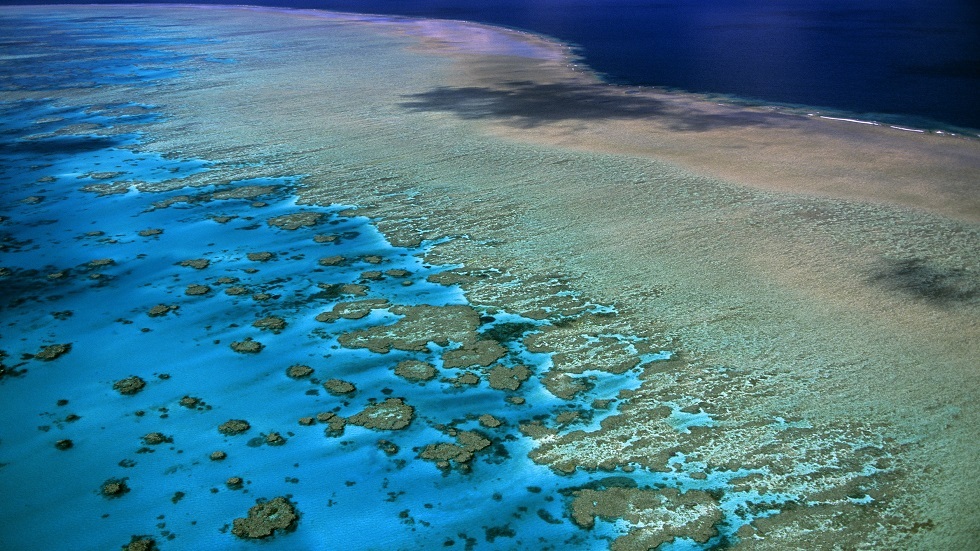 ارتفاع درجة حرارة المحيط يبطئ نمو الشعب المرجانية في الحاجز المرجاني العظيم