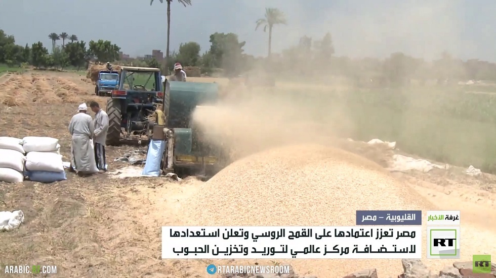 سعي مصري لاستضافة مركز عالمي لتوزيع الحبوب