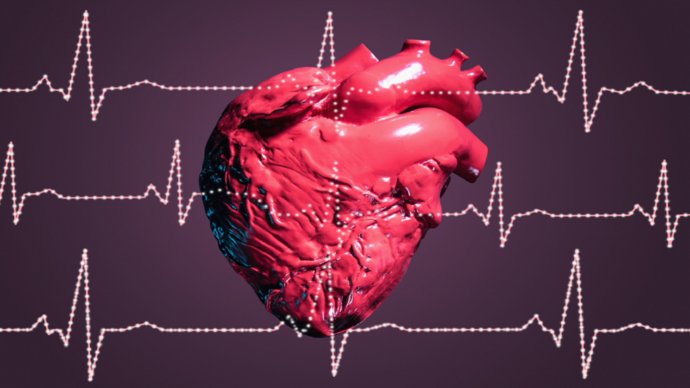 جين مضاد للشيخوخة يظهر قدرة على إعادة عمر القلب البيولوجي بمقدار 10 سنوات