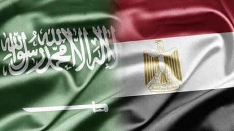 السعودية ومصر تؤكدان رفضهما لأي تهديد عسكري لأراضي سوريا