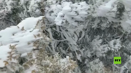 بالفيديو.. الثلوج تغطي جبال سلطنة عمان
