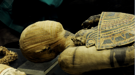 مومياء مصرية عمرها 4300 عام ملفوفة بالذهب قد تكون الأقدم على الإطلاق 