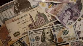 باحثة تكشف لـRT عن مفاجآت تنتظر الجنيه المصري