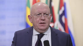 نيبينزيا: يمكننا إرسال الأسمدة إلى سوريا مجانا لولا