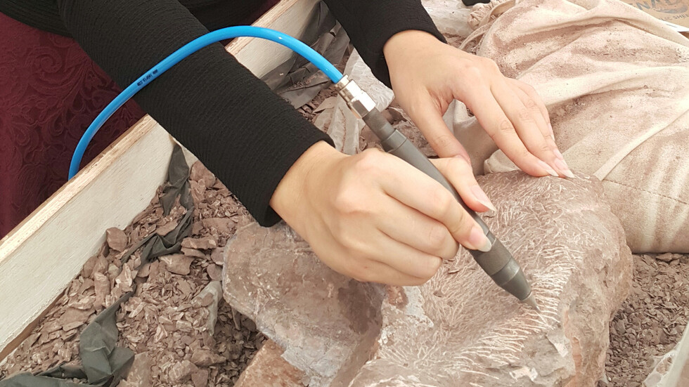 سمكة عمرها 319 مليون عام تحافظ على