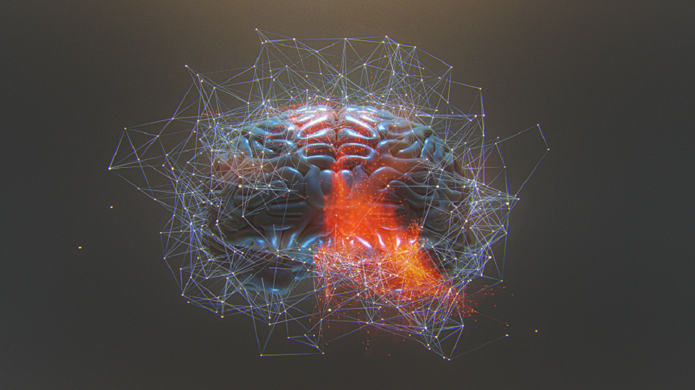 عضيات دماغ بشري مزروعة في الفئران تتجاوز معلما رئيسيا!