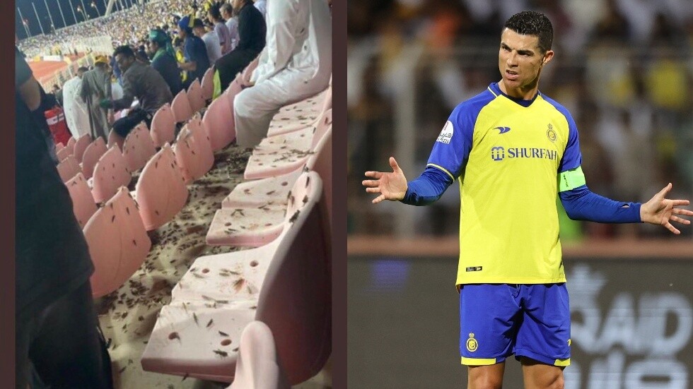 مشاهد مرعبة.. الحشرات تعكر ليلة سوبر هاتريك كريستيانو رونالدو