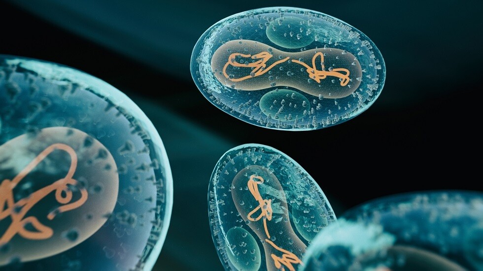 تعرف على فيروس 