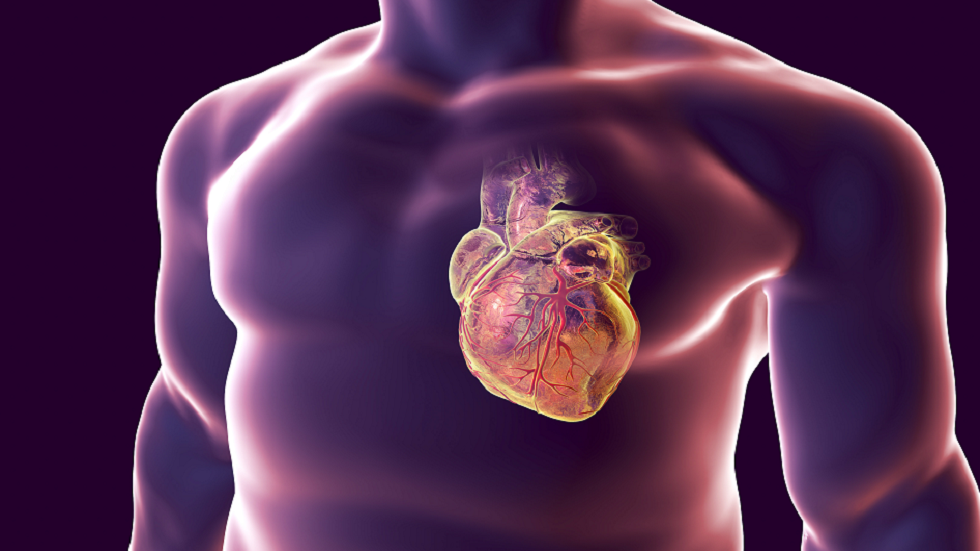 ابتكار فحص جديد يمكنه اكتشاف المعرضين لخطر النوبة القلبية قبل سنوات من حدوثها