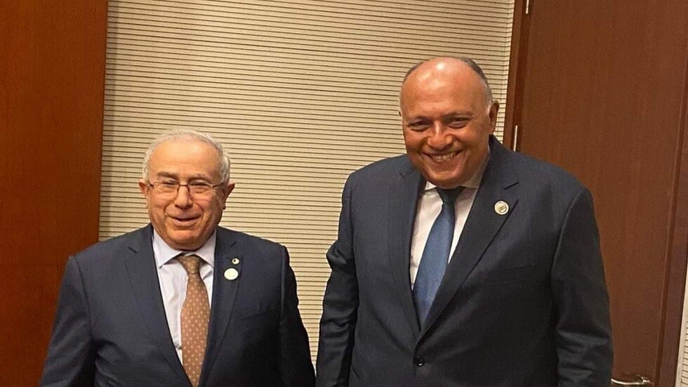 شكري يلتقي لعمامرة ويبحثان مسار العلاقات الثنائية ومتانة الصداقة بين بلديهما