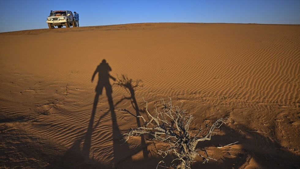السعودية.. العثور على مفقود محمية "الحرّة"