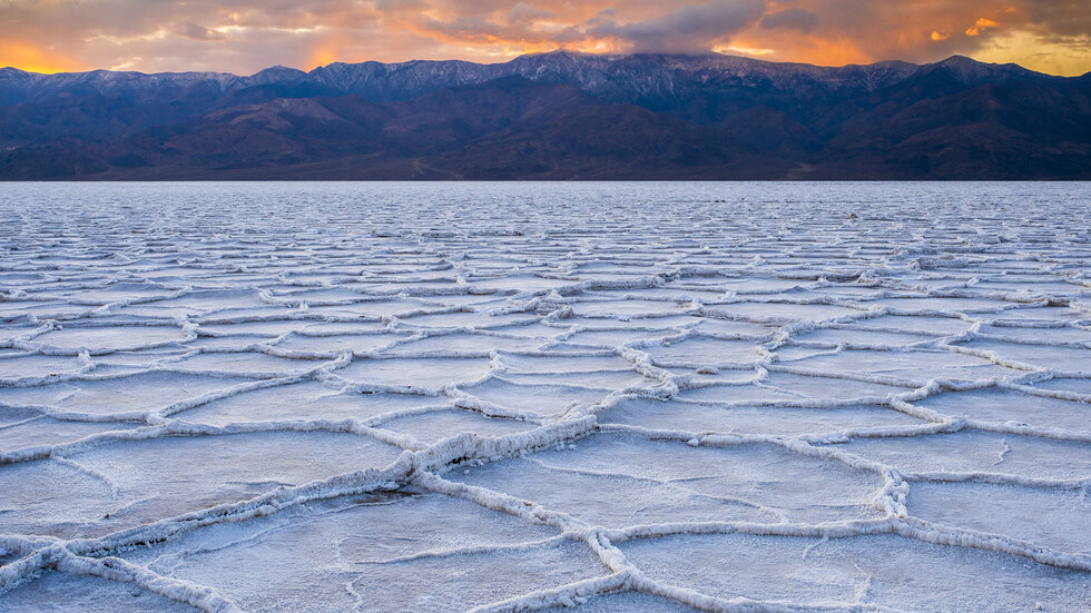 علماء يحلون لغز أنماط 