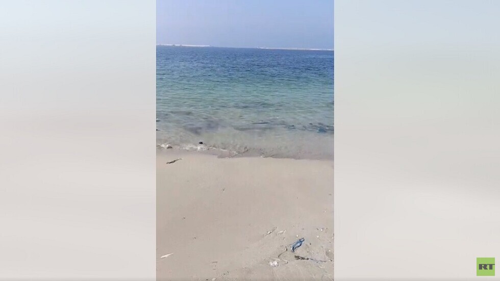 مصر.. انحسار مياه البحر في شواطئ الإسكندرية يثير التساؤل والبحوث الفلكية تعلق على الظاهرة (فيديو)